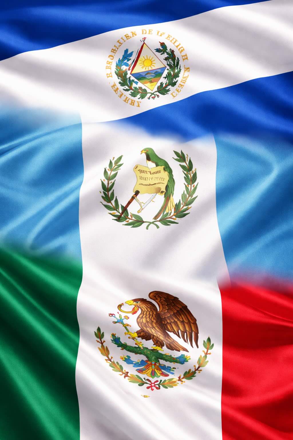 International Legal Support